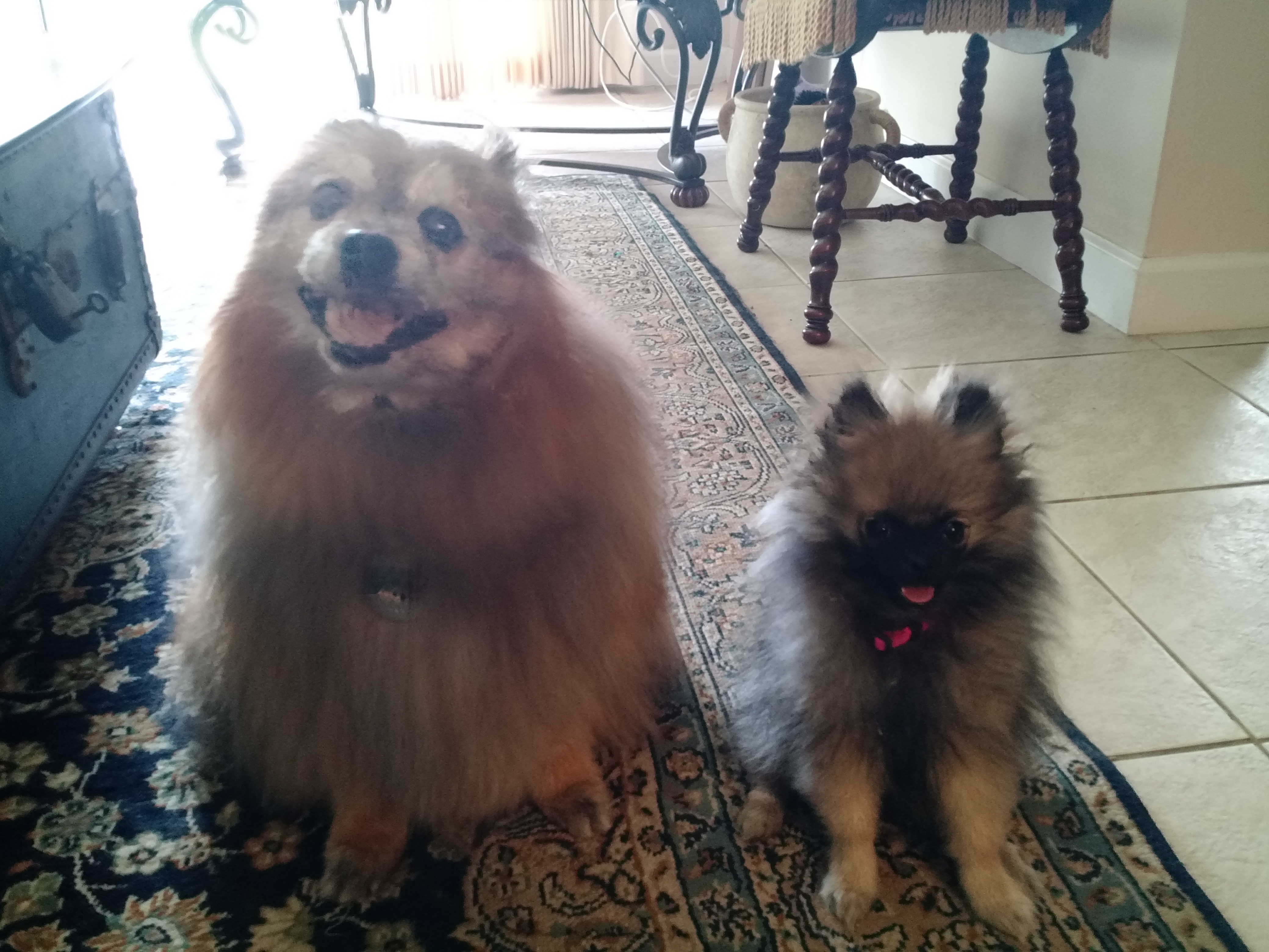 IMG_20180501_165642898_TOP