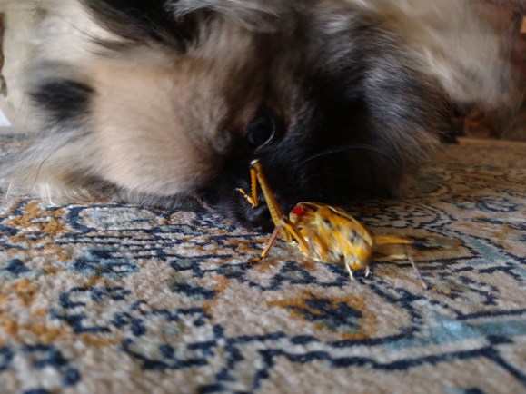 IMG_20180908_095955840